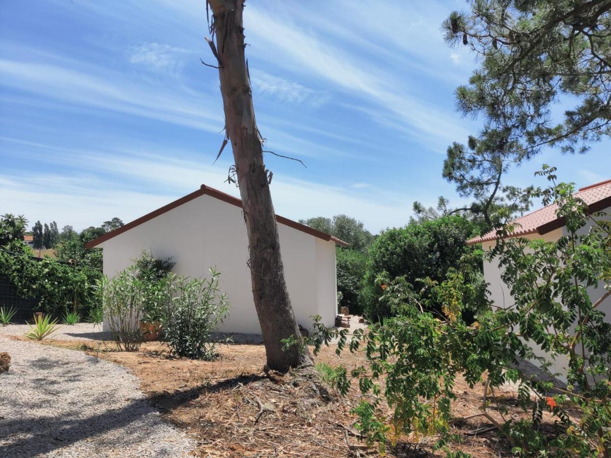 Bed and Breakfast Quinta Do Alento Sesimbra Exterior foto